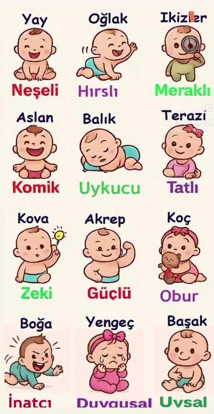 Burçlar nasıl bir bebekmiş 😀?