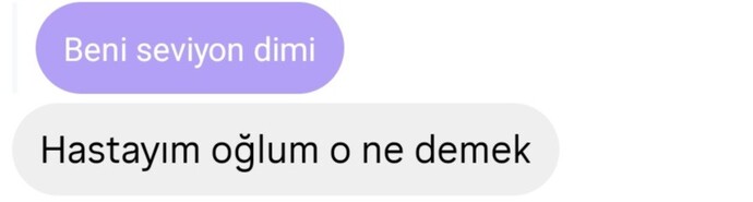 Günlük mesajlarınızı aldınız mi kizcelerim?