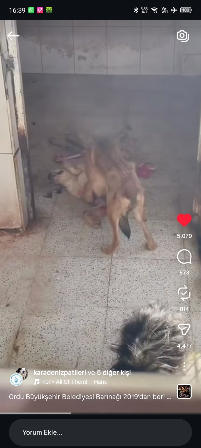 Her halta susup sonra iyi insanım diyenler nerde?