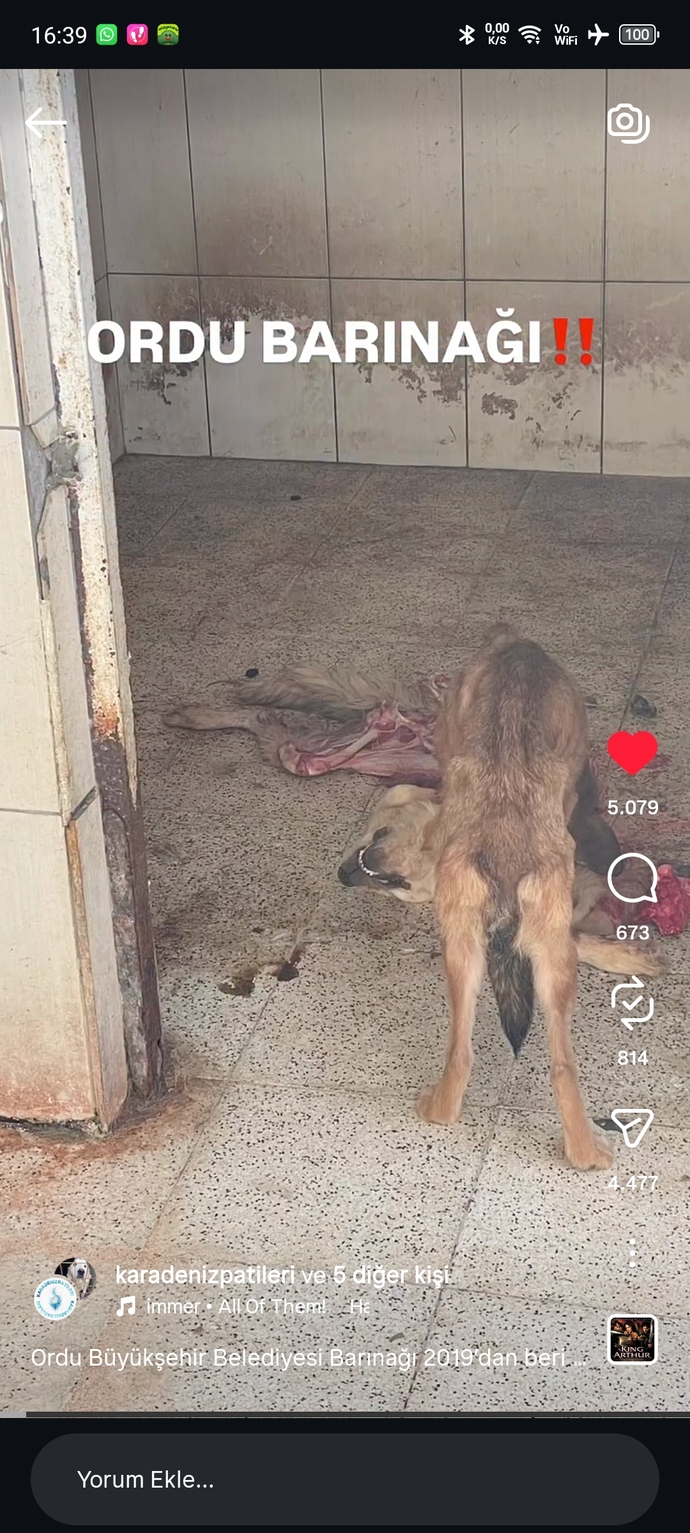 Her halta susup sonra iyi insanım diyenler nerde?