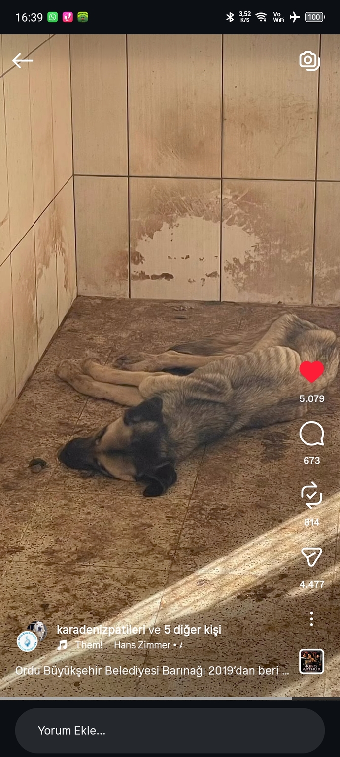 Her halta susup sonra iyi insanım diyenler nerde?