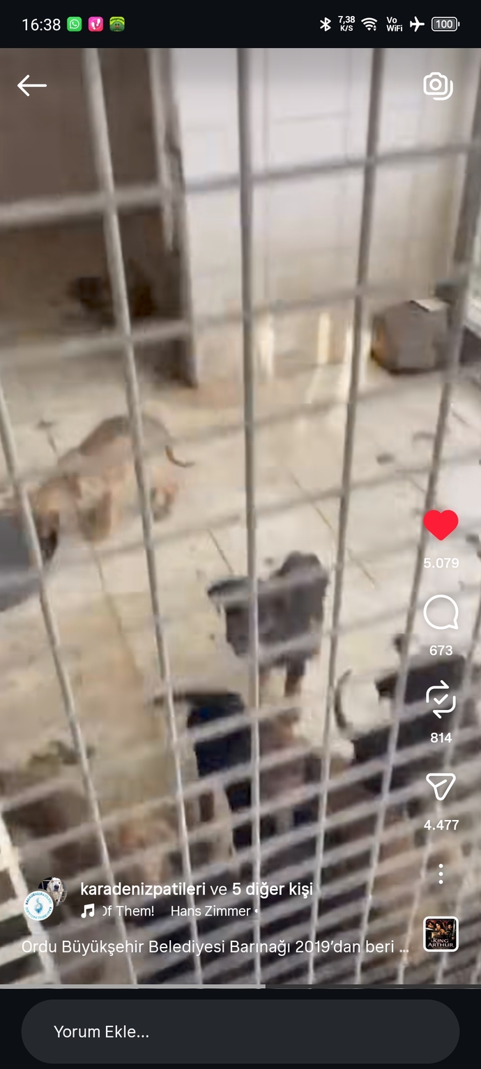 Her halta susup sonra iyi insanım diyenler nerde?