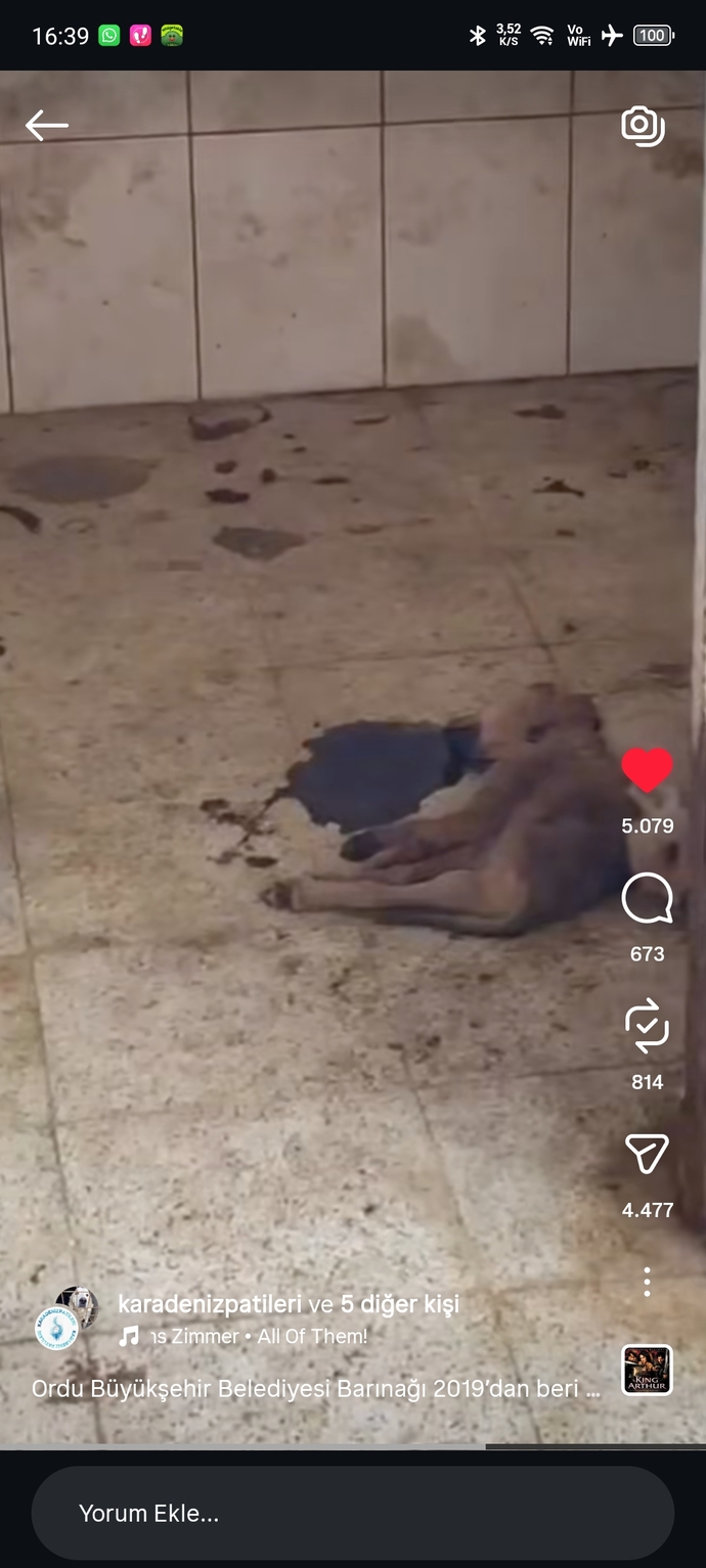 Her halta susup sonra iyi insanım diyenler nerde?