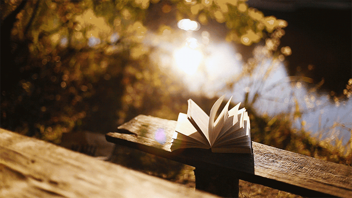 Hayatınız kitap haline gelse kaç sayfa tutar?