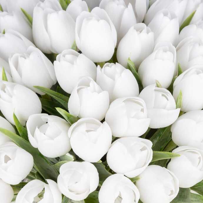 Mis gibi Lale kokusu 🌷😊