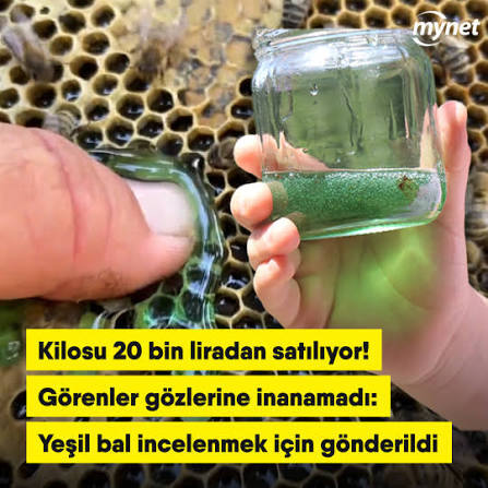 Bana mucizevi bir ayet gösterde inanayım kurana neden inanıyorum?