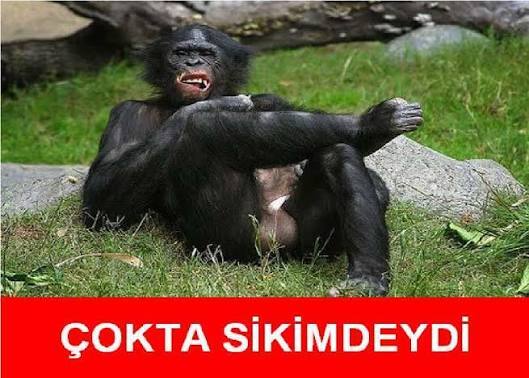 Eşinin/sevgilinin cinsel geçmişi senin için önemli mi?