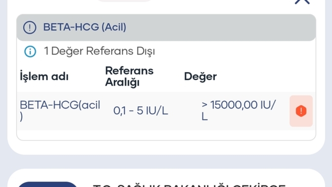 Beta hCG testi e Nabız'da referans dışı çıktı, hamile miyim acaba?