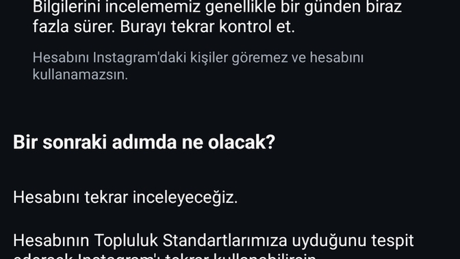 Instagram 48 saatlik ilk inceleme bitti ama ikinci inceleme neden hala sürüyor?