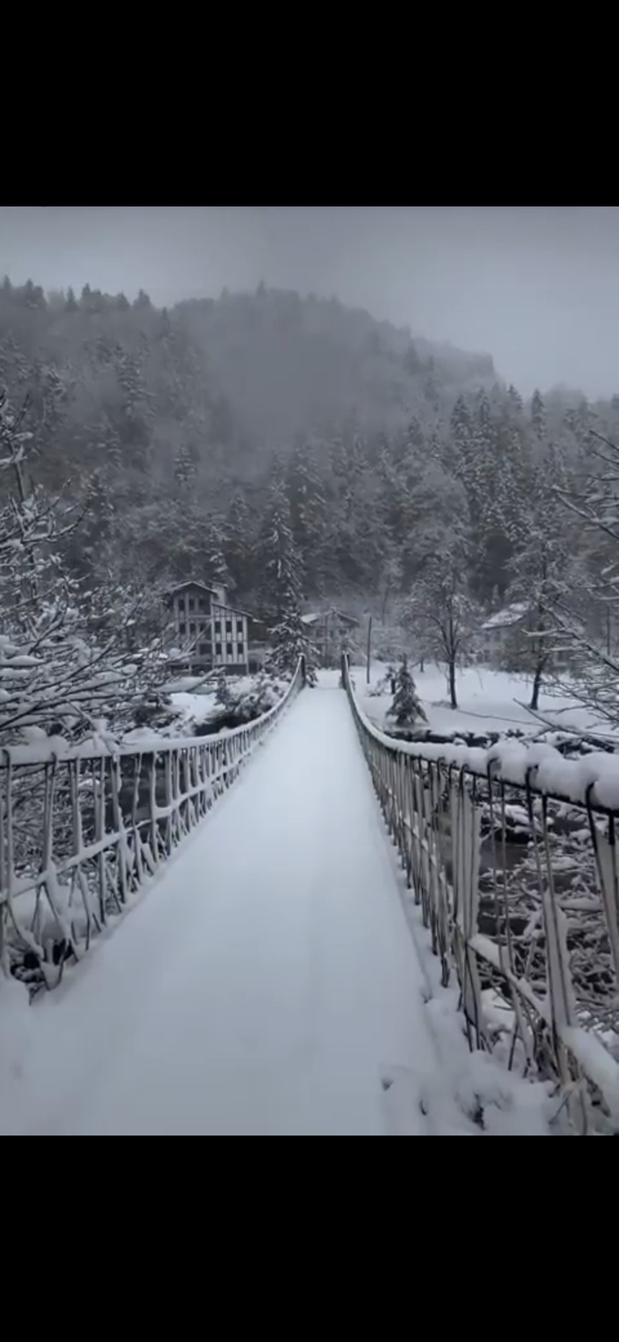 Karadeniz doğa güzelliğini gerçekten sevenler burada mı?