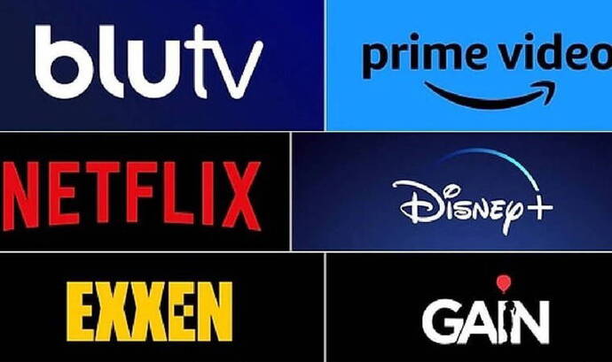 Film/dizi izlemek için abone olduğunu platform hangisi?