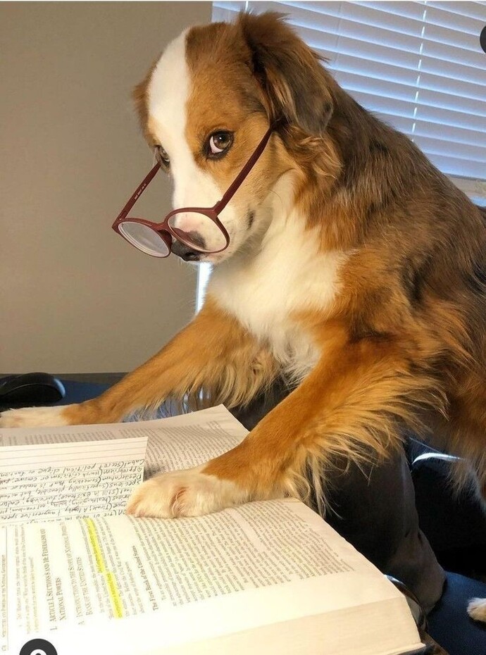 Öğrencilik Hayatın Nasıldı?