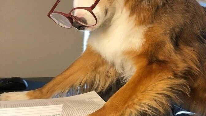 Öğrencilik Hayatın Nasıldı?