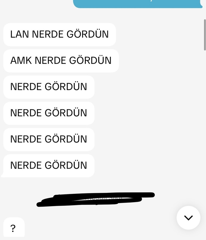 Sizce ben mi çok üstelemişim (exim)?