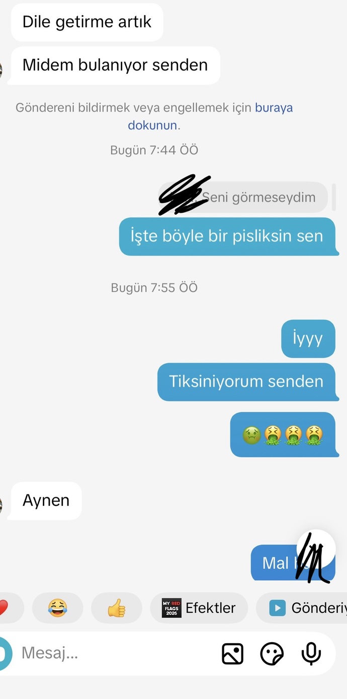 Sizce ben mi çok üstelemişim (exim)?