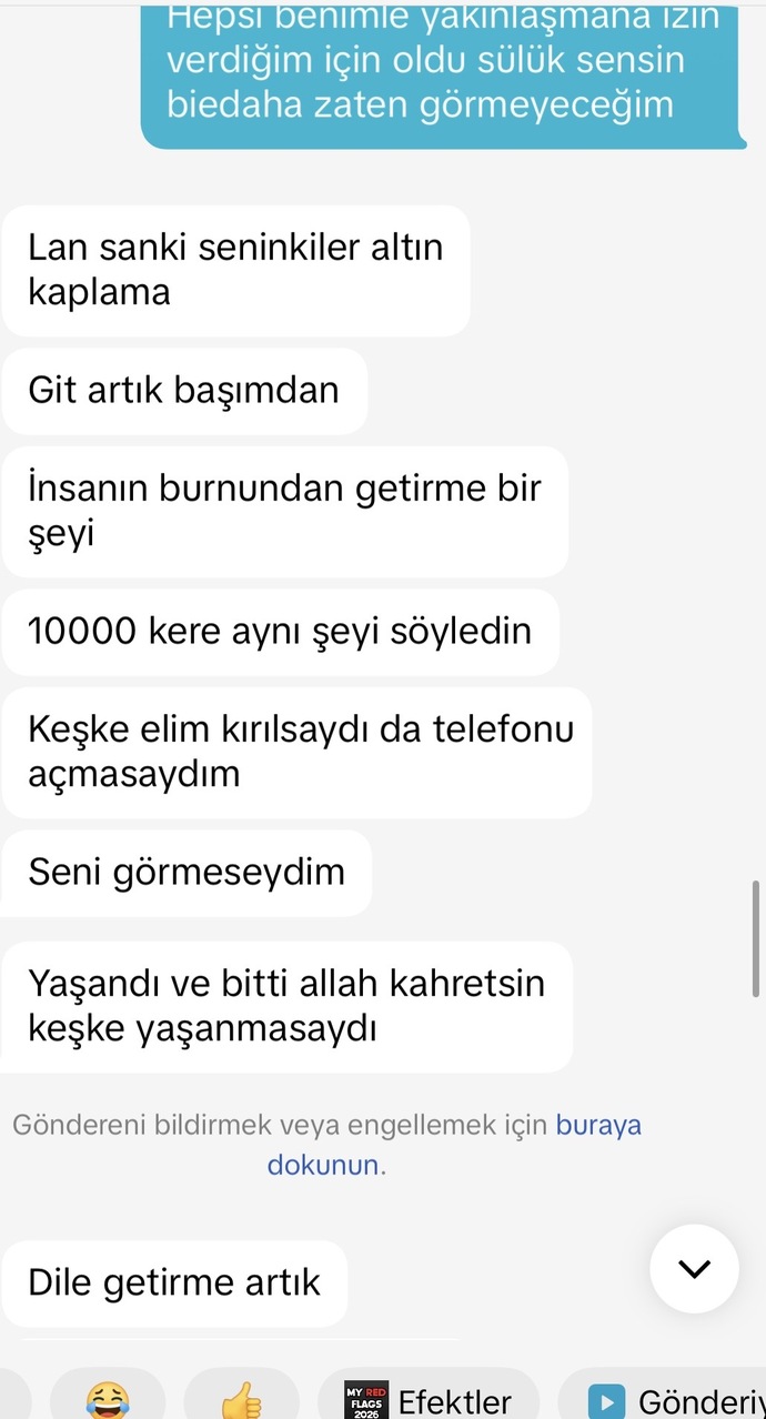Sizce ben mi çok üstelemişim (exim)?