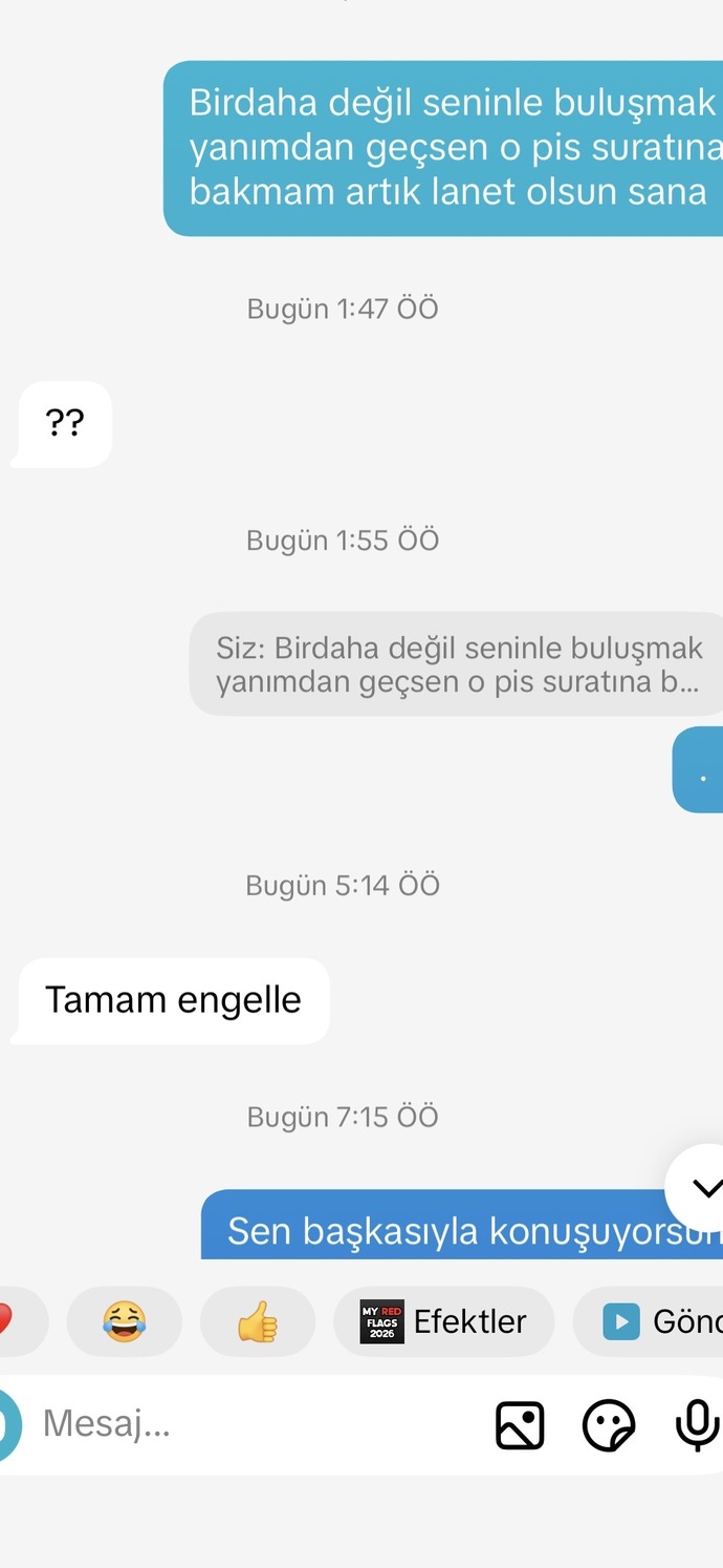 Sizce ben mi çok üstelemişim (exim)?