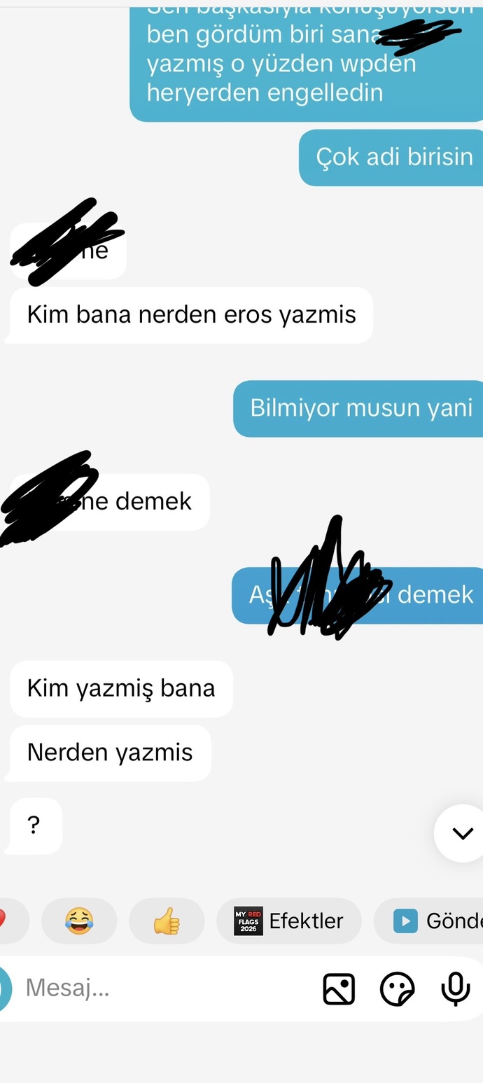 Sizce ben mi çok üstelemişim (exim)?