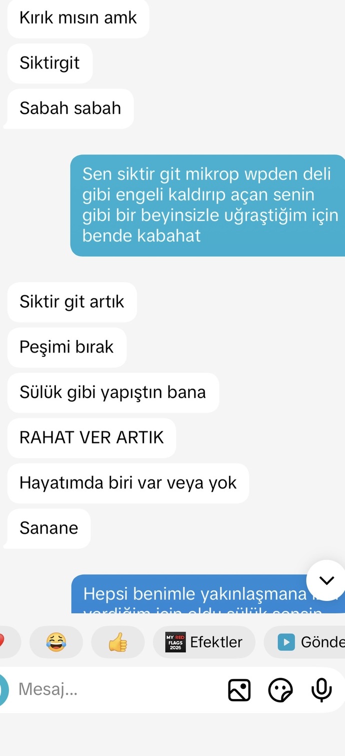 Sizce ben mi çok üstelemişim (exim)?