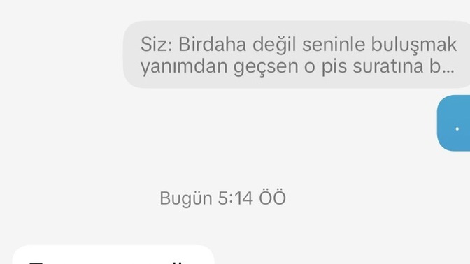 Sizce ben mi çok üstelemişim (exim)?