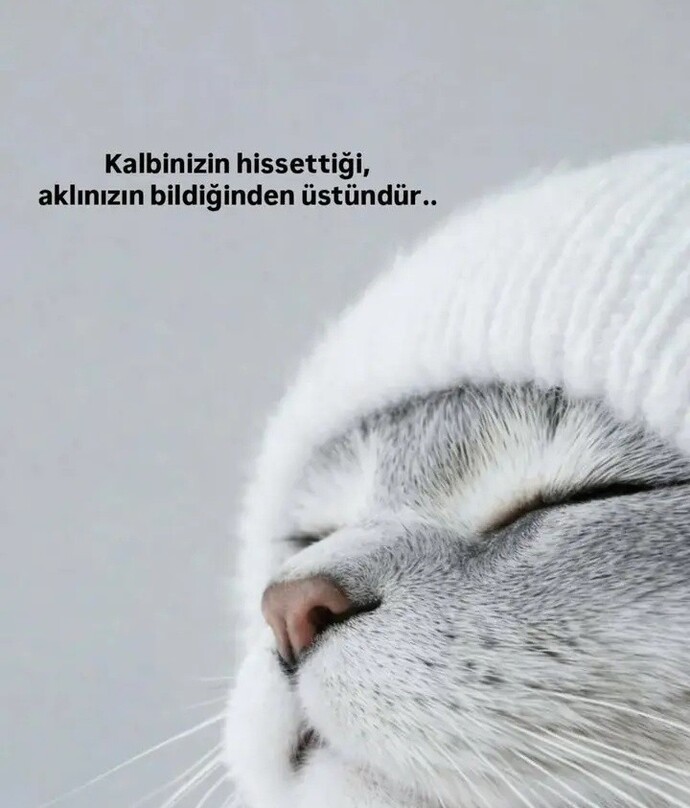İyi geceler iyi uykular diliyorum 🥰 evden çıkarken veya ayrılırken her zaman vedalaşır mısınız?