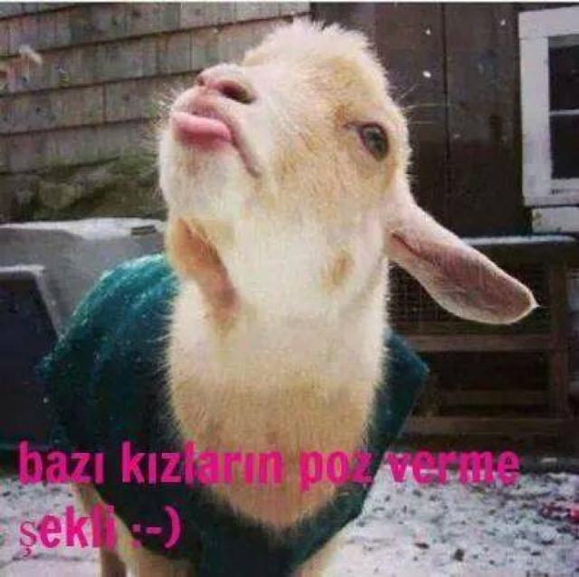 Dudak büzmek kadını daha mı çekici hisettiriyor?