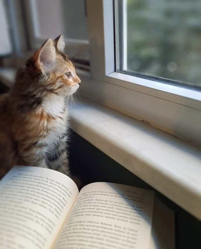 Okuduğunuz hangi kitap size hayatı sorgulattı?