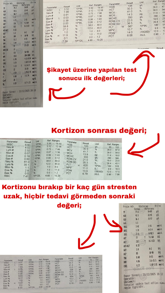 Kedimin ani kilo kaybı, kusma ve bağışıklık düşüklüğü kanser mi yoksa sadece gastrit mi 😿?