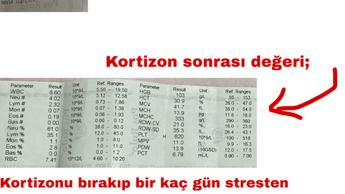 Kedimin ani kilo kaybı, kusma ve bağışıklık düşüklüğü kanser mi yoksa sadece gastrit mi 😿?