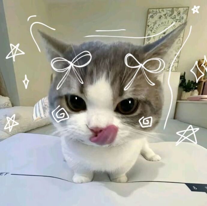 Kedi mi köpek mi? Tercihiniz hangisi olurdu?