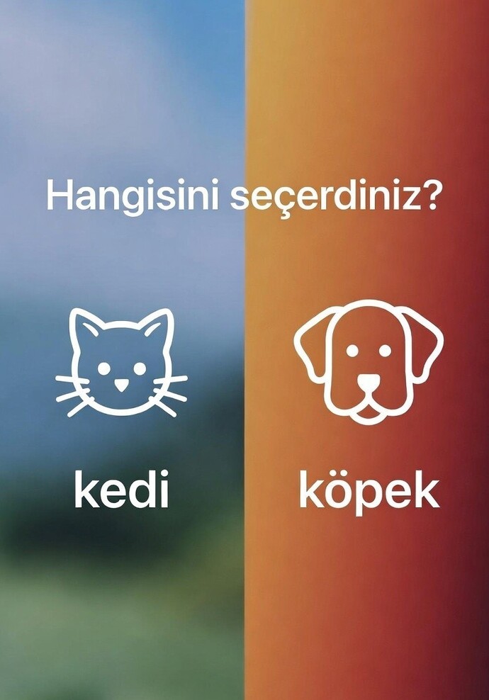 Kedi mi yoksa köpek mi?