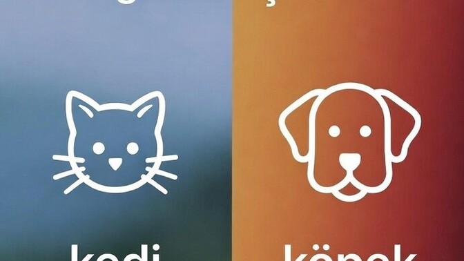 Kedi mi yoksa köpek mi?