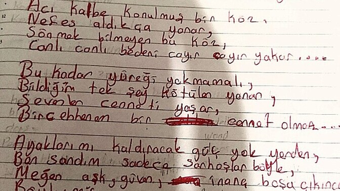 Canınızı acıtana acınızı anlatır mısınız?