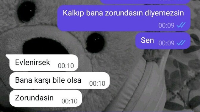 Benim hiç hoşuma gitmedi sizce haksız mıyım?