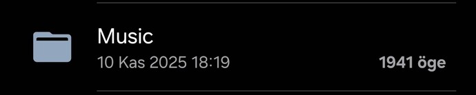 Şarkı listenizde kaç şarkı var?