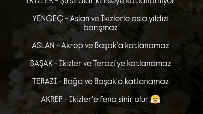Burçlar Hangi Burçlara Katlanamaz Sizce Doğru mu?