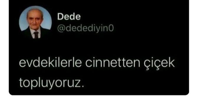Aynı evde yaşıyoruz gibi cevaplar mısınız 😂?