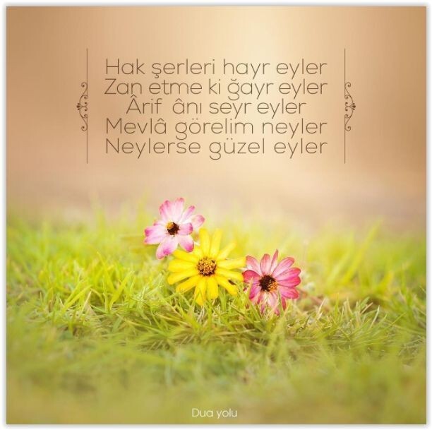 Günaydın güzel bir hafta sonu diliyorum 🥰 önce üzülüp sonra İyi ki böyle olmuş dediğiniz bir olay bir anı var mı?