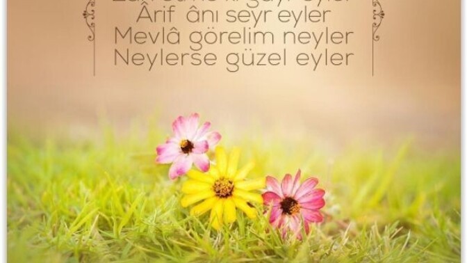 Günaydın güzel bir hafta sonu diliyorum 🥰 önce üzülüp sonra İyi ki böyle olmuş dediğiniz bir olay bir anı var mı?