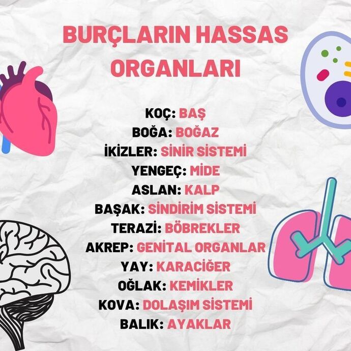 Burcunuza göre hassas organımız neresi?