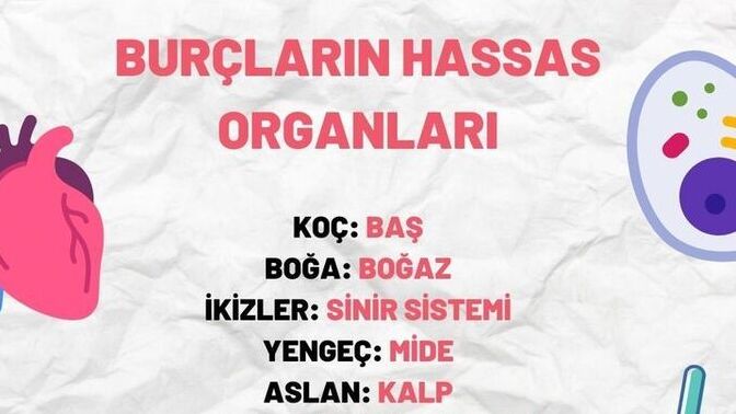 Burcunuza göre hassas organımız neresi?