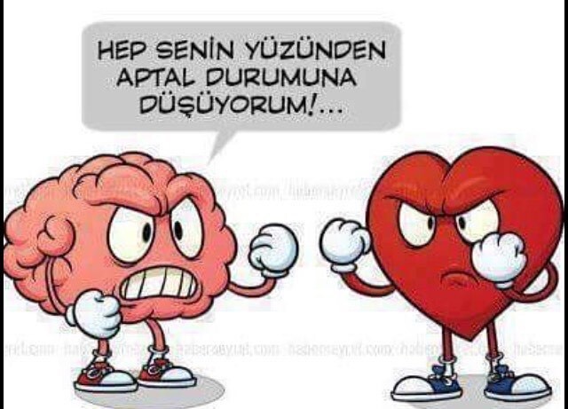 Aşk kalpte mi akılda mı olur?