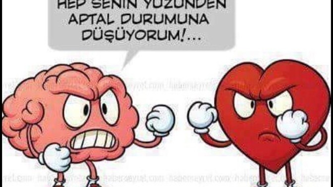 Aşk kalpte mi akılda mı olur?