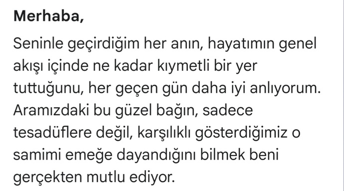 Görsel alıntıdır...