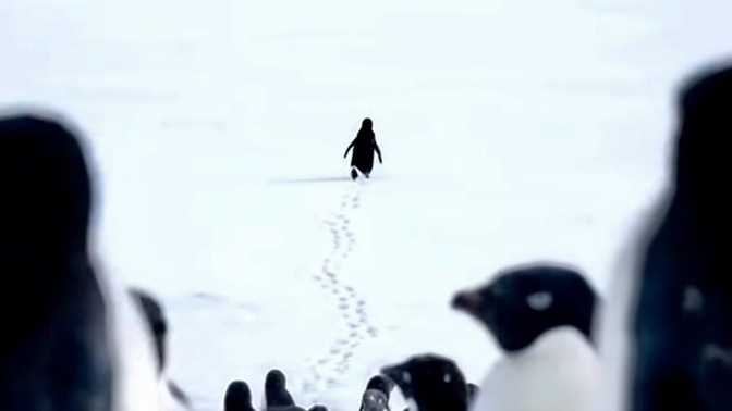 Hayatı yalnızlıkta yaşamayı seçen var mı, bu yalnızlık size ne hissettiriyor 🐧?