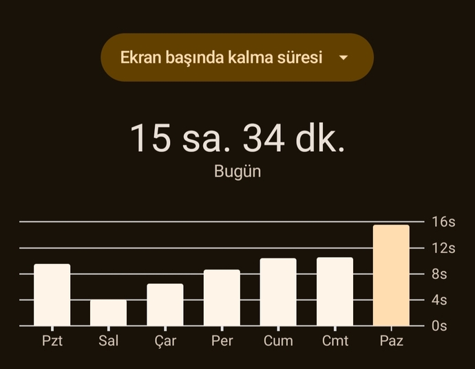 Ekran süreniz kaç saatttt?