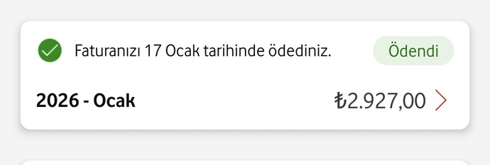800 küsur internet faturası normal mi?
