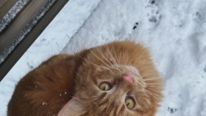 Bakış mı güzelleştirir, gözler mi?