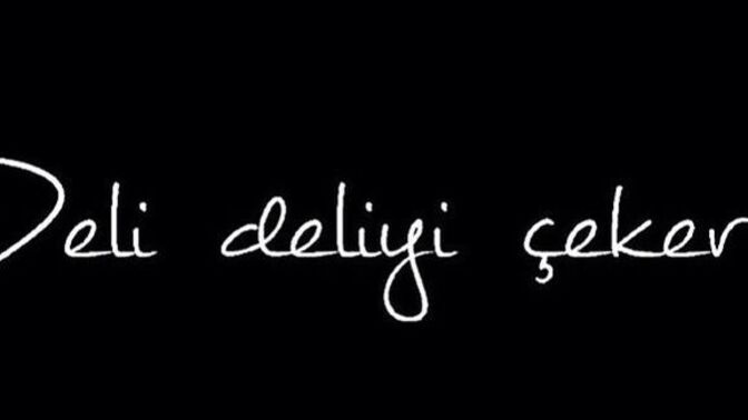 Sizin evin delisi kim?