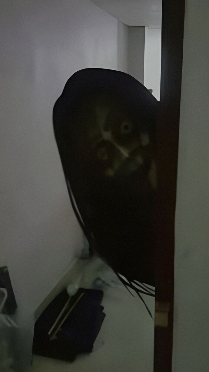 Gece tuvalete kalkarken sizi de biri kovalıyor mu?